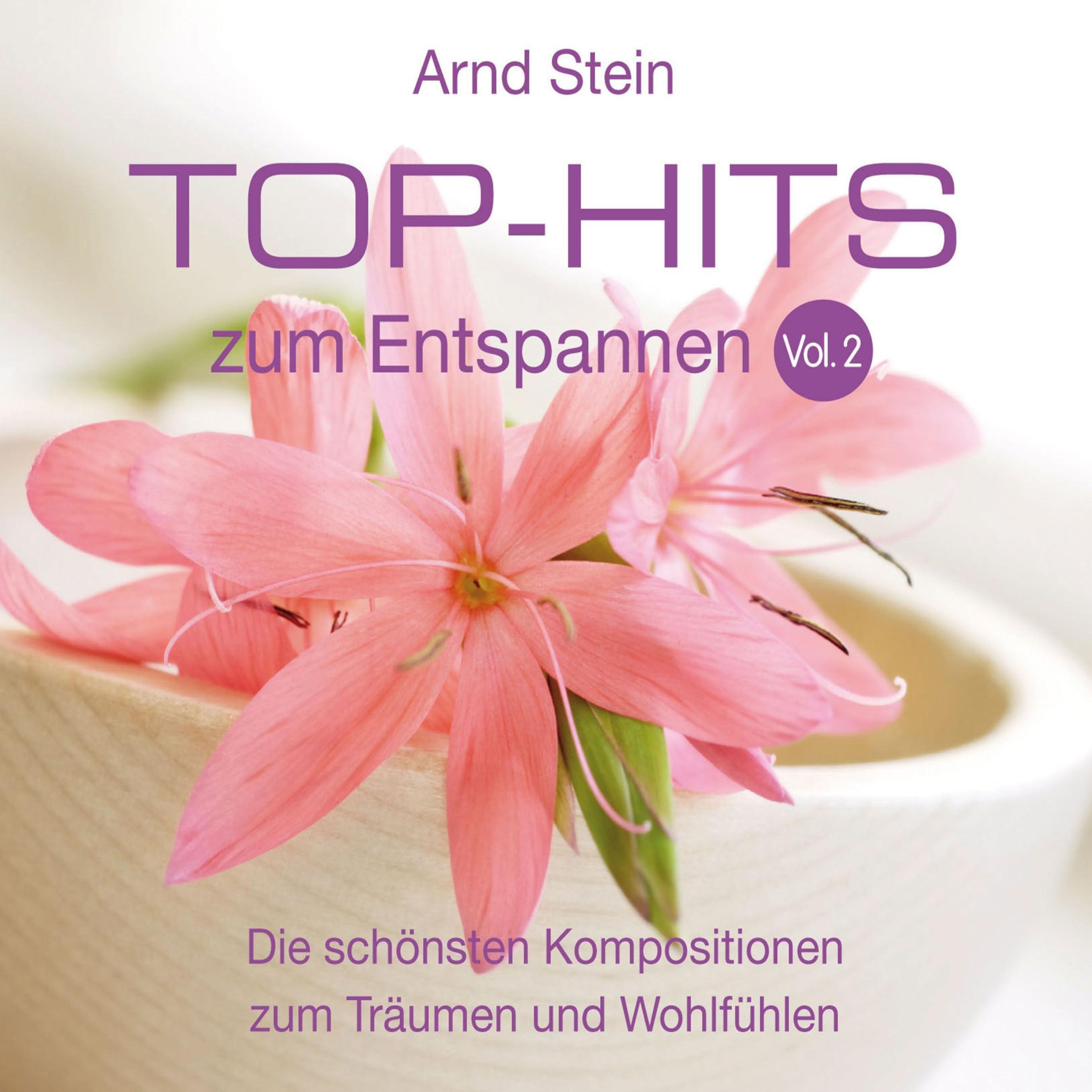 Top Hits Zum Entspannen, Vol. 2