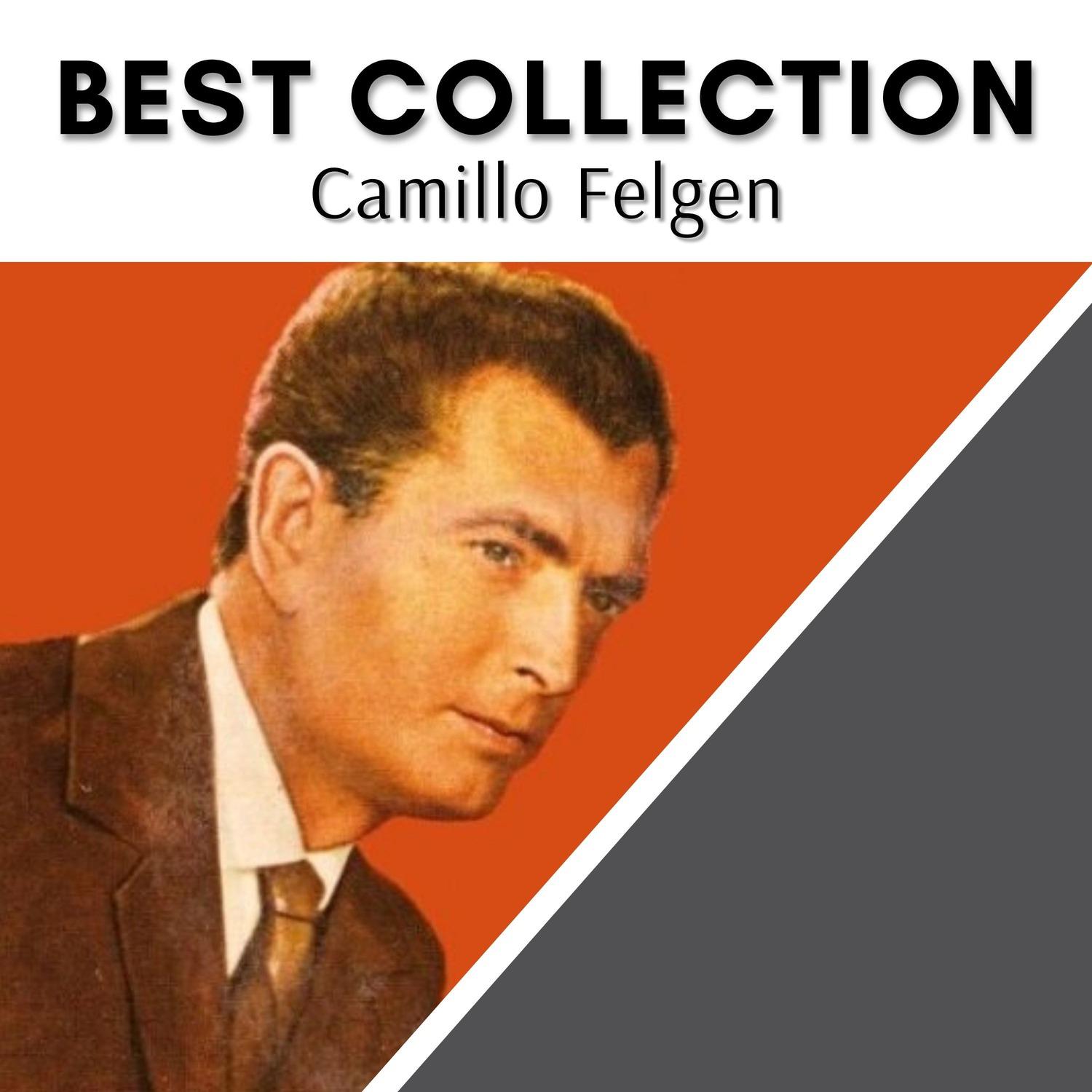 Best Collection Camillo Felgen