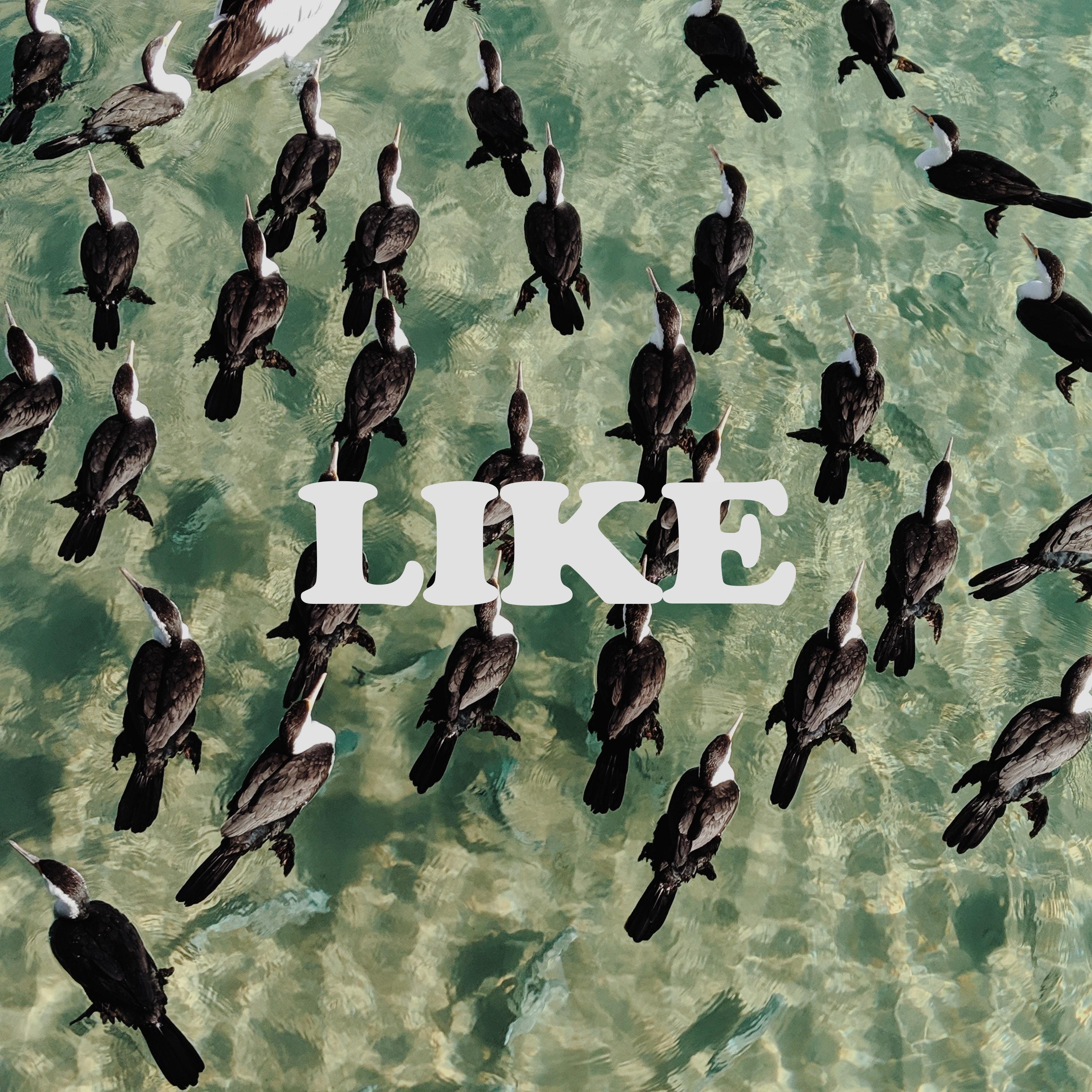 Like