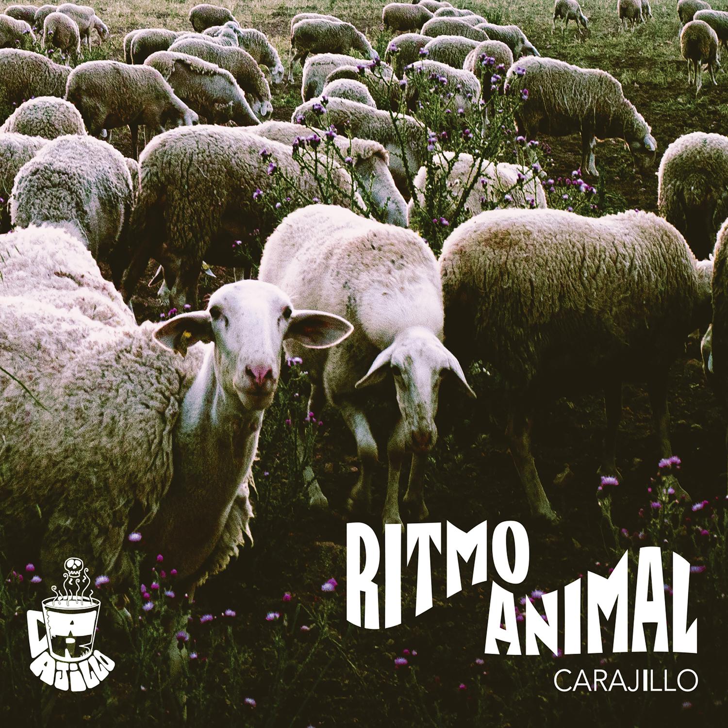 Ritmo Animal