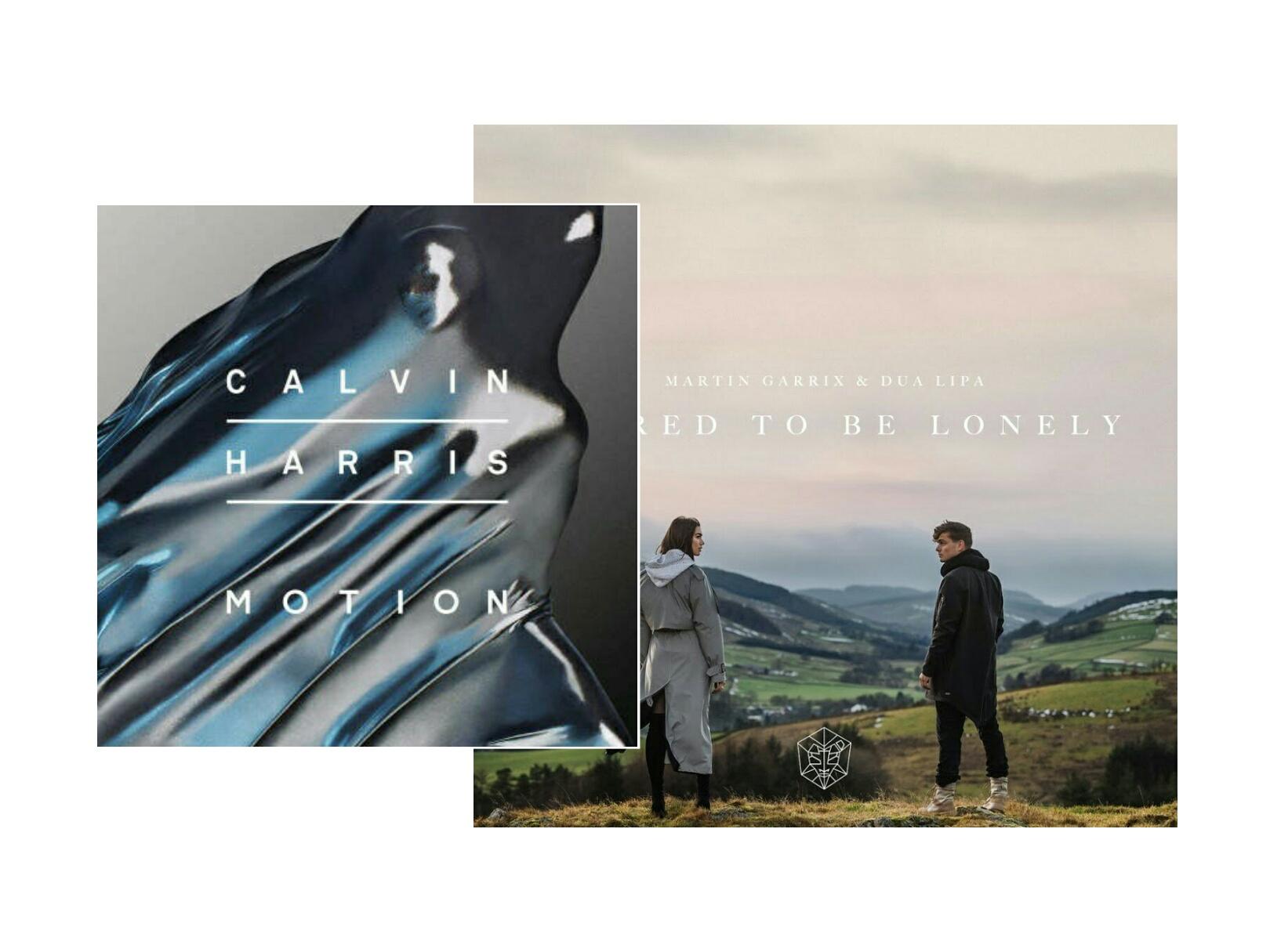 Calvin Harris / Martin Garrix / Ellie Goulding - Outside The Lonely(张晋瑞 remix)