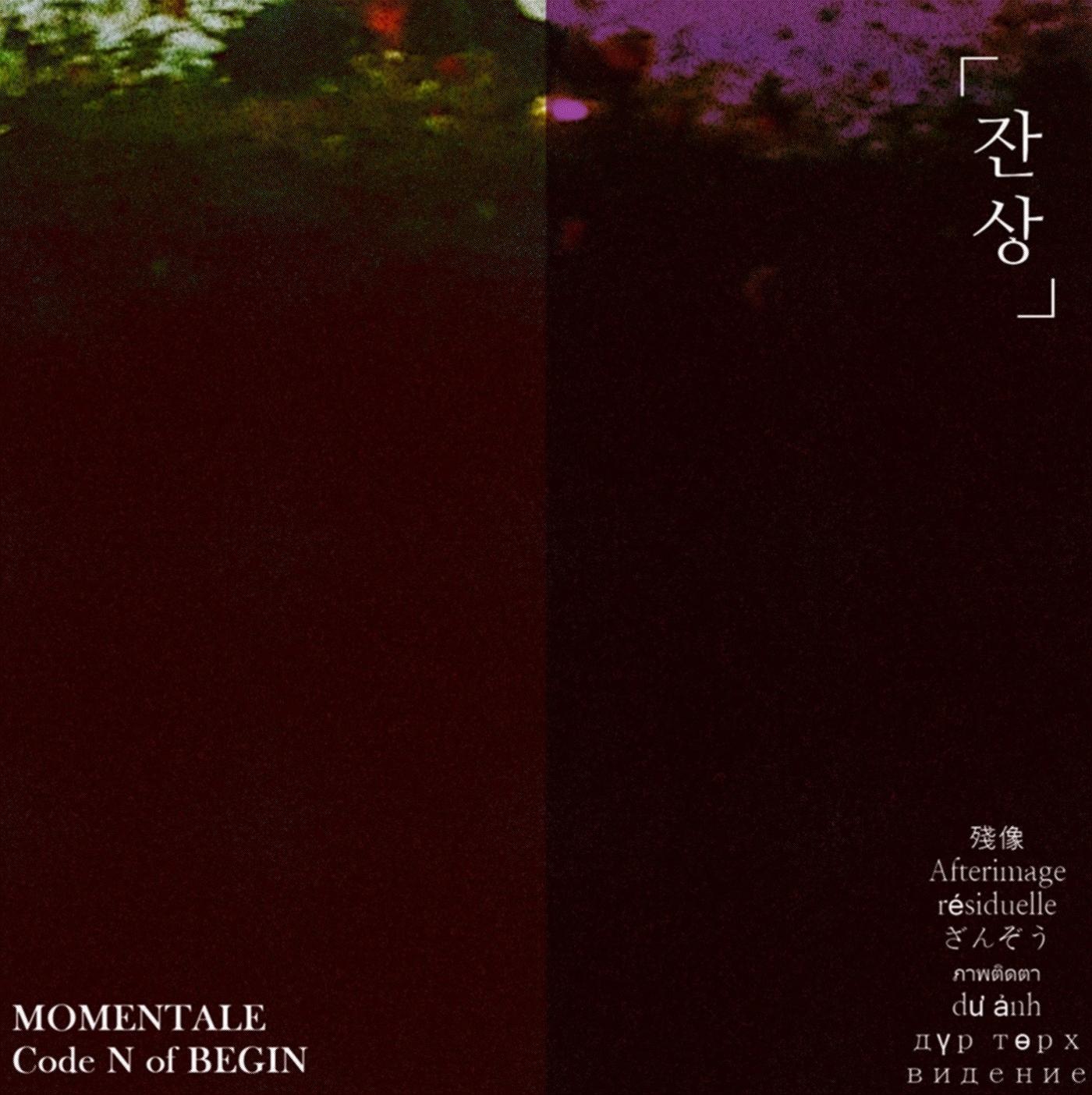 Momentale CODE(N)