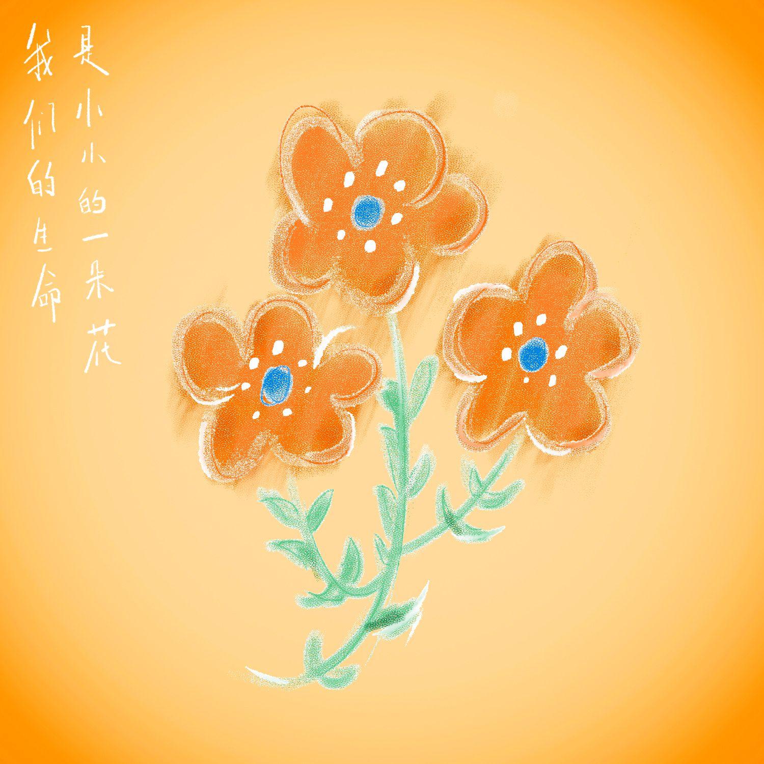 我们的生命是小小的一朵花