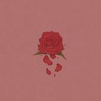 专辑《Rose》