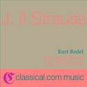 Johann ll Strauss, Die Fledermaus