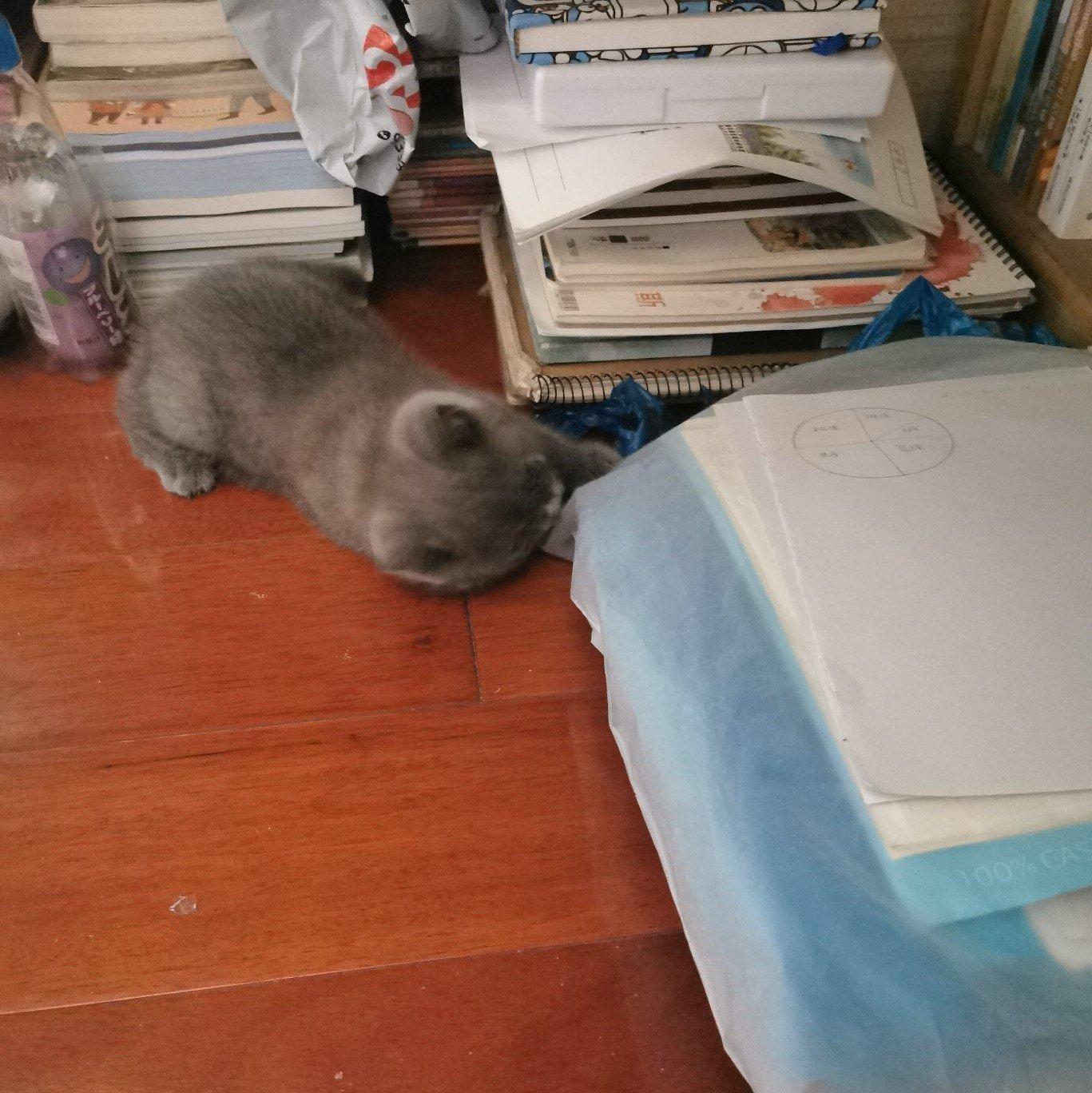 干啥都好用der歌单