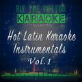 Hot Latin Karaoke Instrumentals, Vol. 1