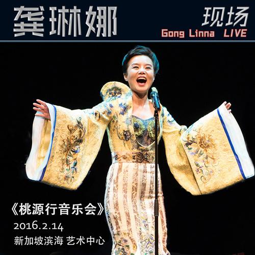 新加坡桃源行音乐会