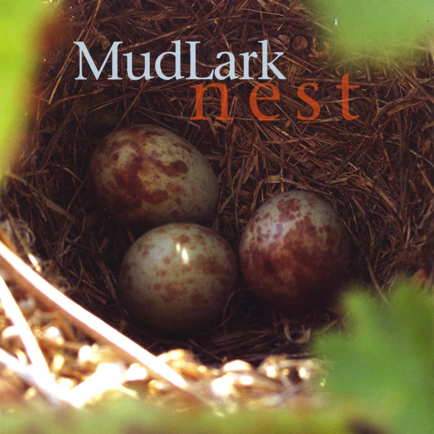 Nest