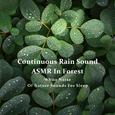 连续不间断森林雨声ASMR - 睡眠白噪音自然之声