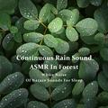 连续不间断森林雨声ASMR - 睡眠白噪音自然之声