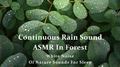 连续不间断森林雨声ASMR - 睡眠白噪音自然之声专辑