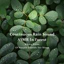 连续不间断森林雨声ASMR - 睡眠白噪音自然之声