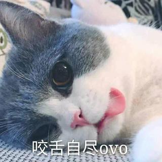 敲可爱的歌单（恋爱的感觉）
