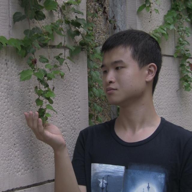 人生胶片