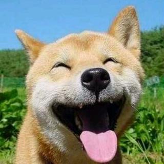 轻快的小调调~~~~