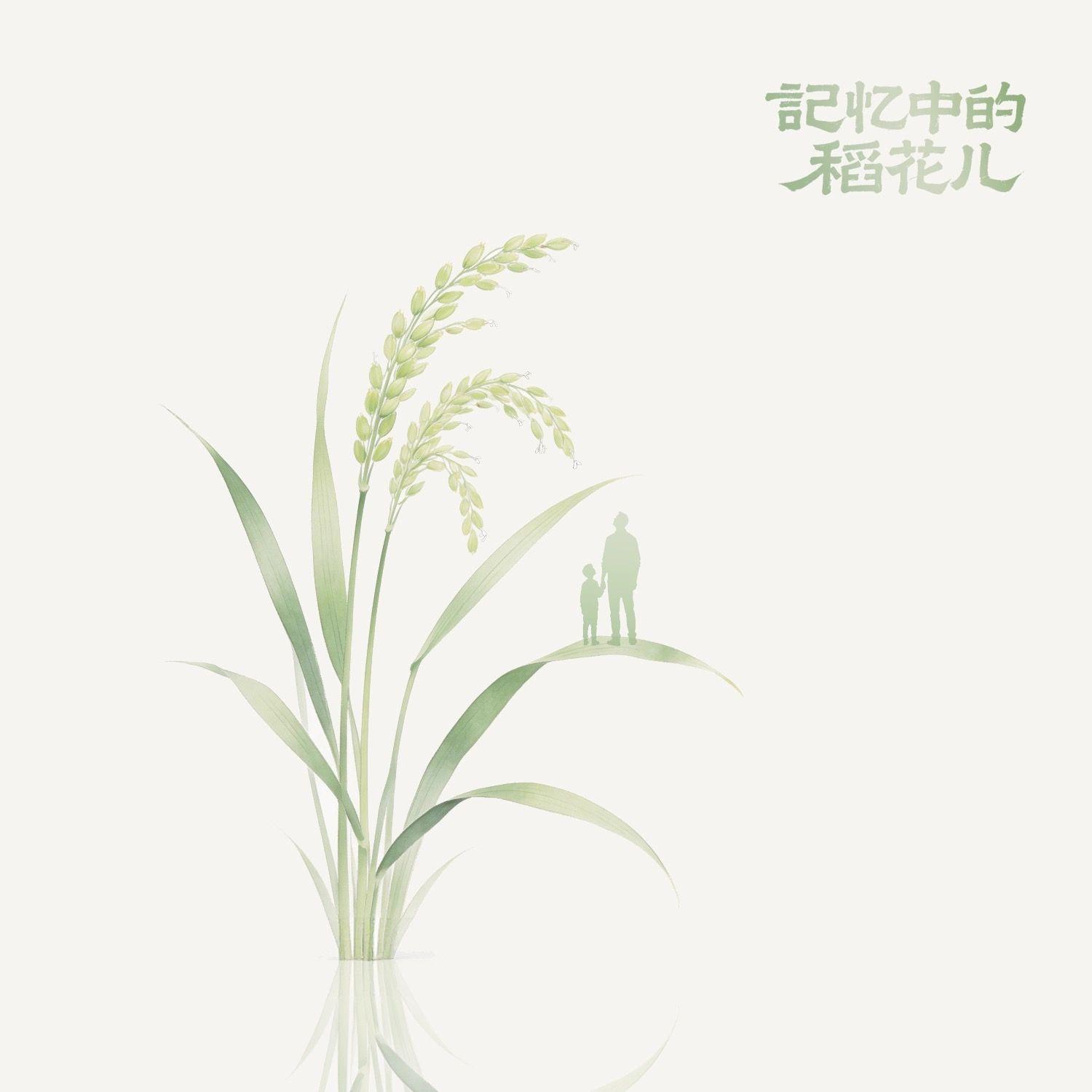 记忆中的稻花儿