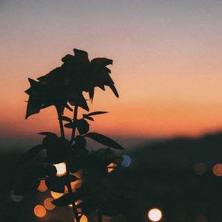 内涵段子最近比较火的音乐