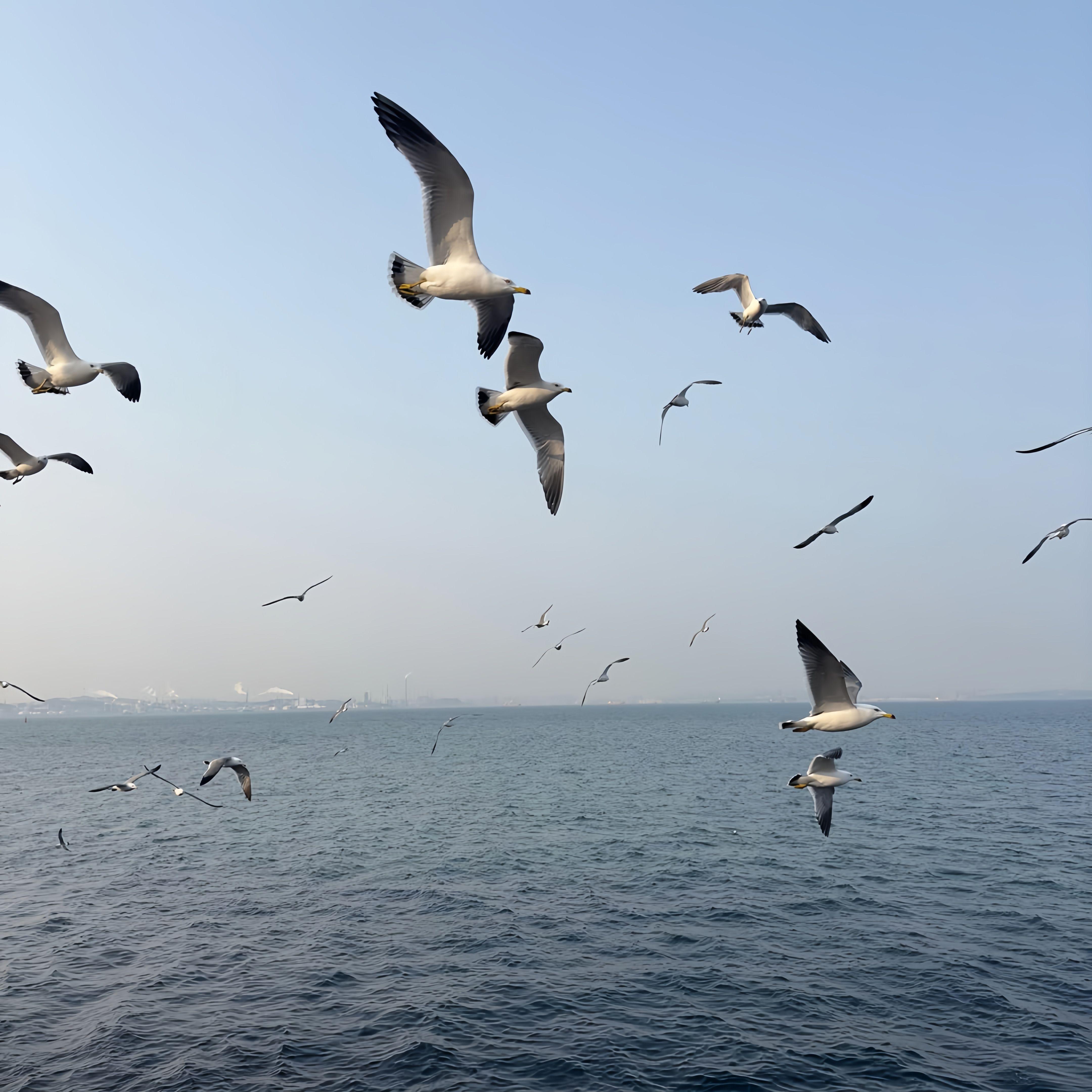 天下（遇见她 如春水映梨花）