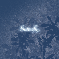 团贺 || Butterfly（翻自 1234567）