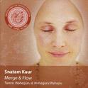 Meditations for Transformation 1: Merge & Flow专辑