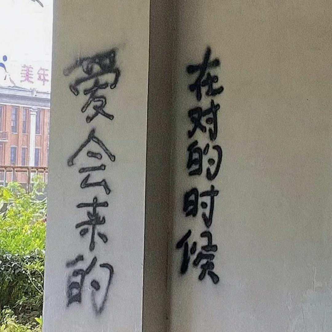 我找遍整个宇宙再也没找到你