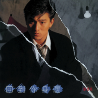 刘德华 - 永远记得你(07年演唱会版)