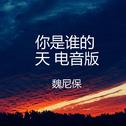 你是谁的天 (电音版)专辑