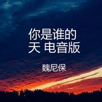 你是谁的天 (电音版)专辑