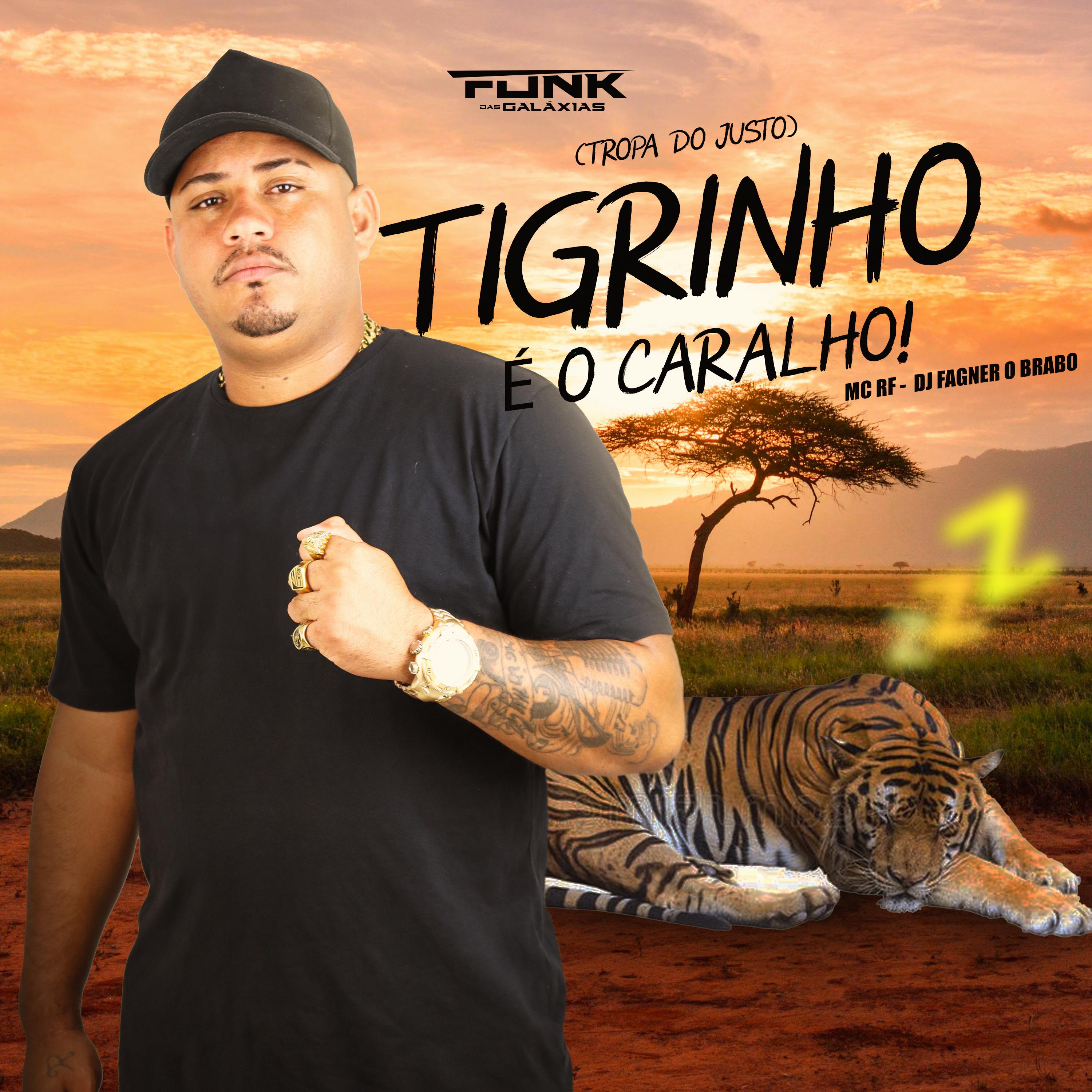 Tigrinho É o Caralho X Tropa do Justo - Mc Rf/Dj Fagner o Brabo - 单曲 ...