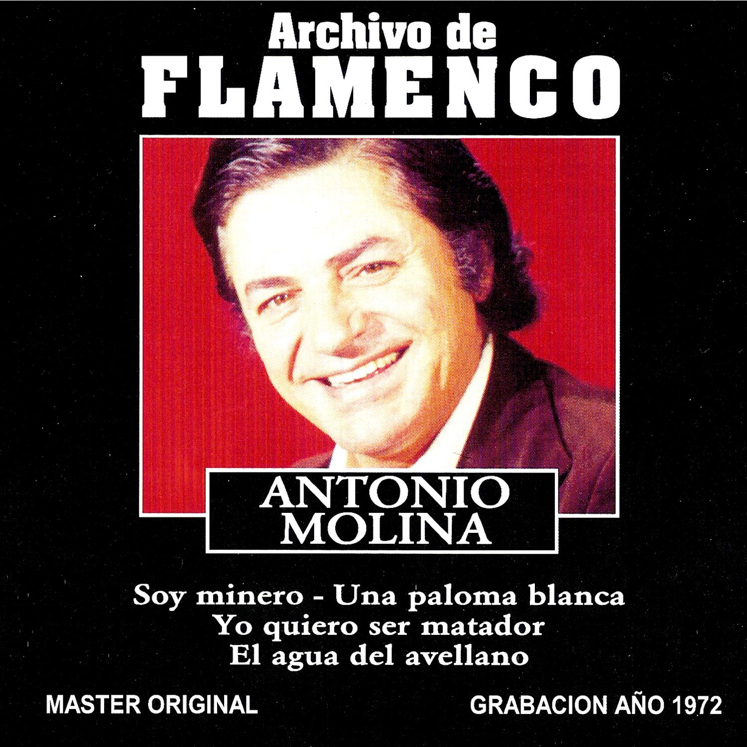 Archivo De Flamenco Vol.12 (Antonio Molina)