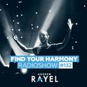 Find Your Harmony Radioshow #132专辑