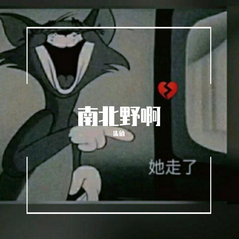 南北野啊