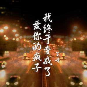 王峰 - 我终于变成了爱你的疯子(DJ默涵版)