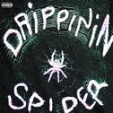 Drippin in Spider专辑