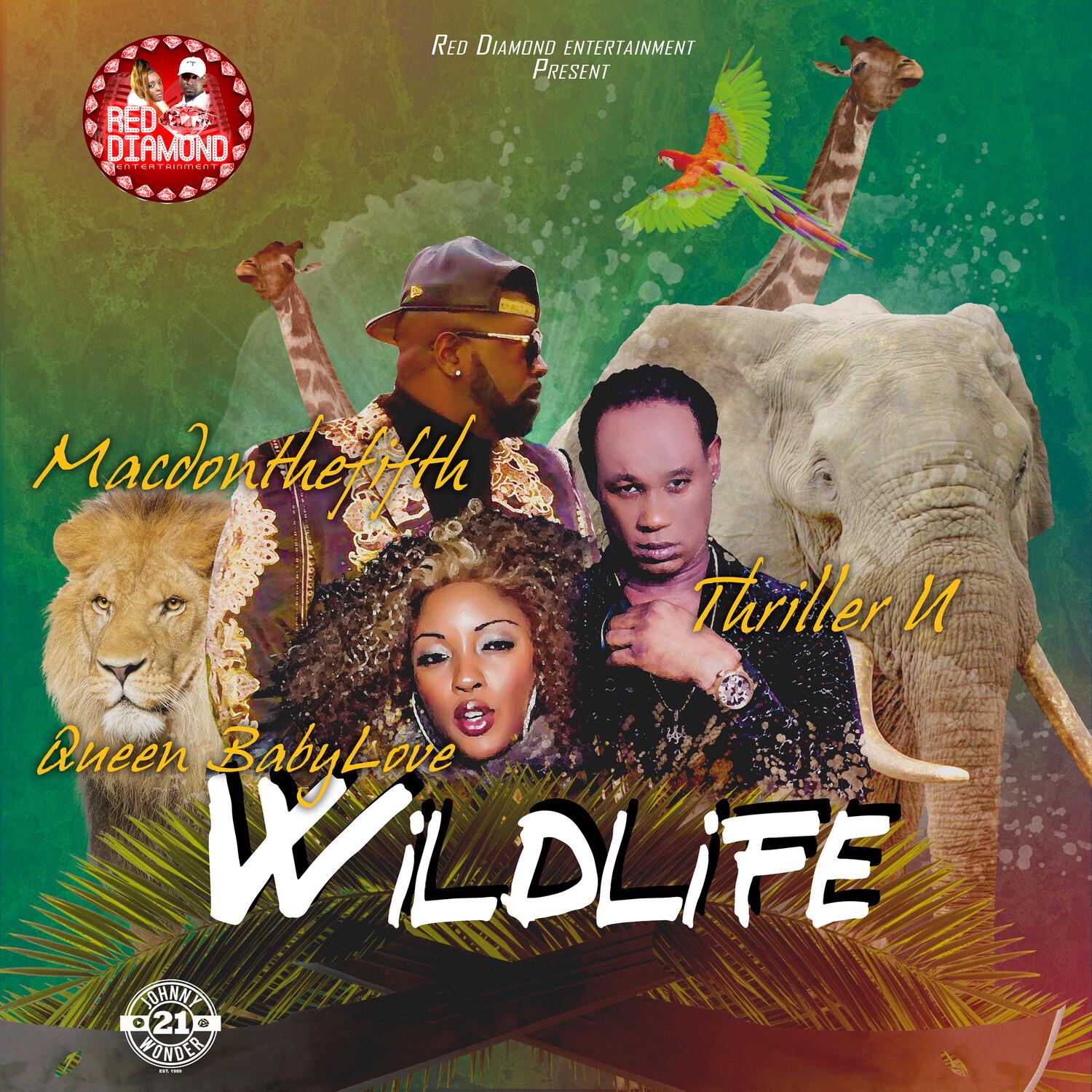 Wildlife