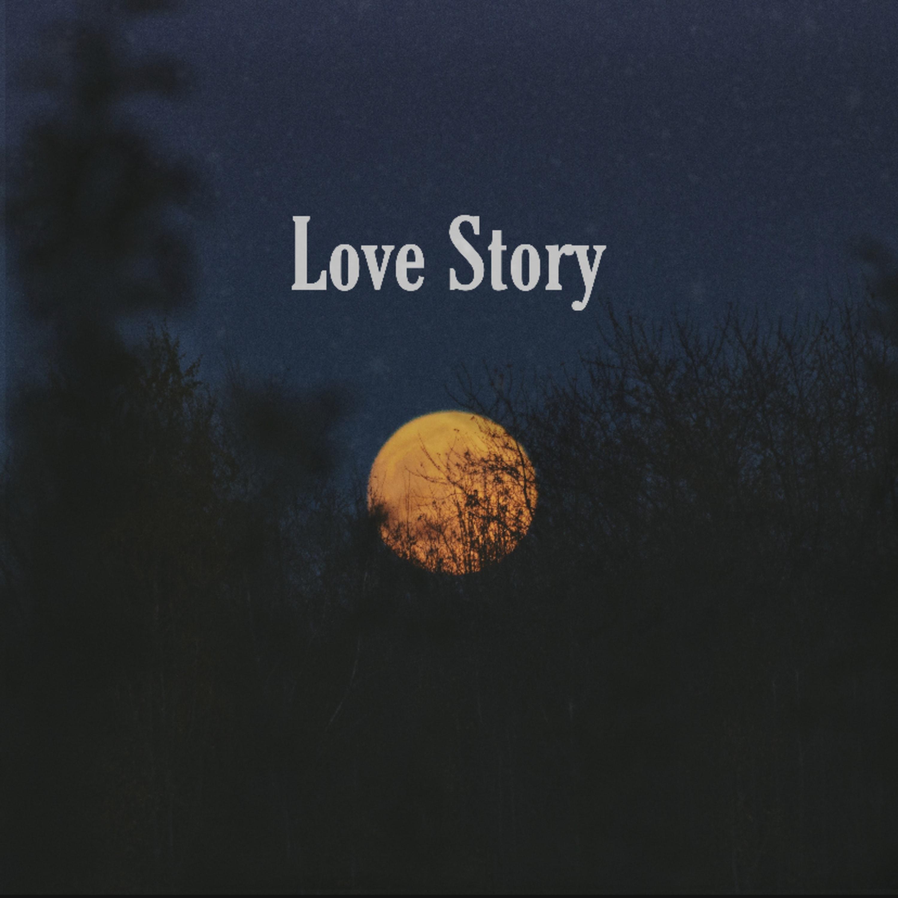 Love Story专辑