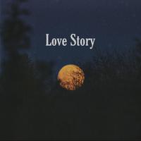 Sarah Cothran - Love Story (Cover) (unofficial Instrumental) 无和声伴奏