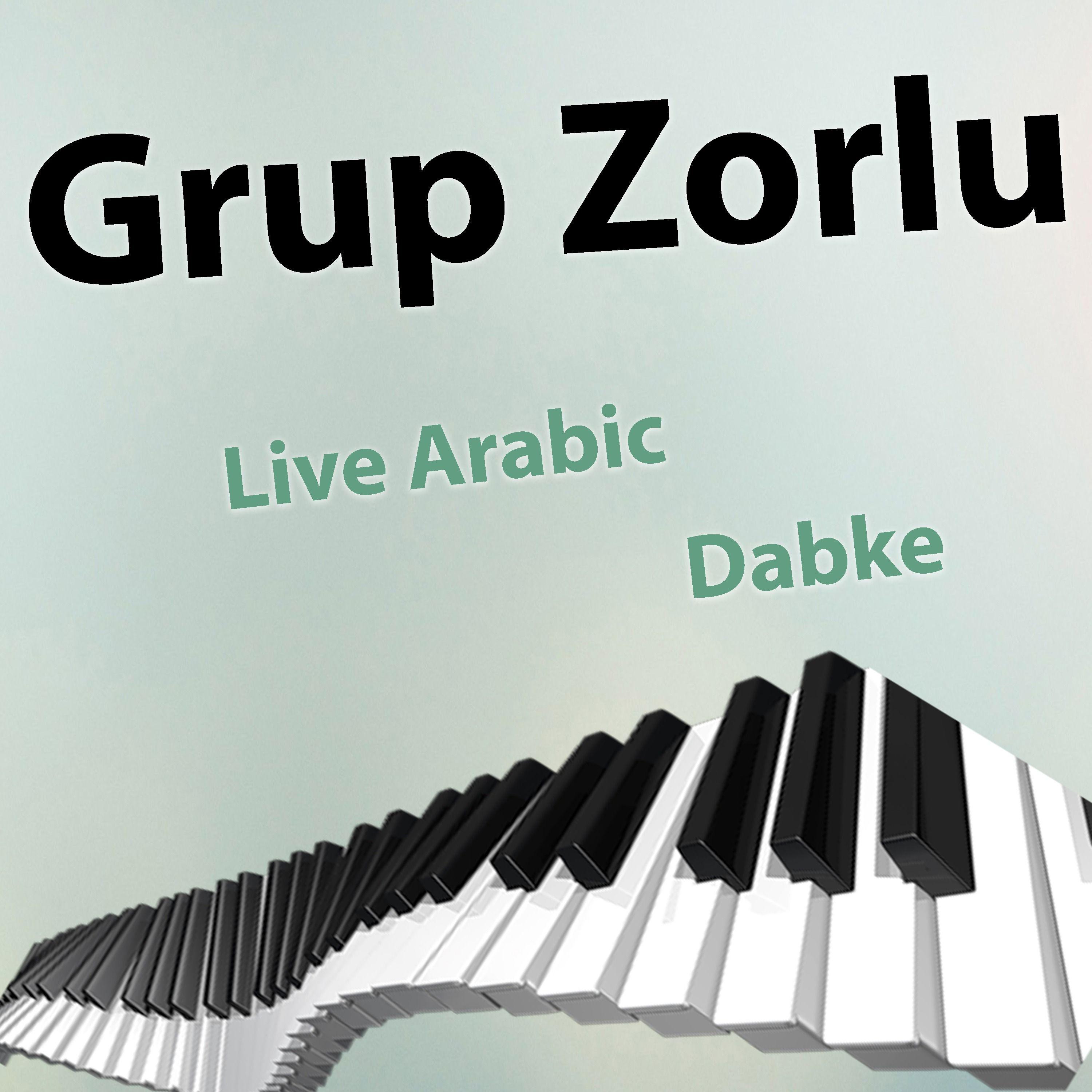 Grup Zorlu - Live Arabic Dabke Vol. 13