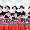 Despacito拇指琴卡林巴版专辑