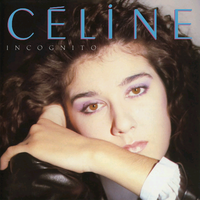 Incognito - Celine Dion (karaoke)