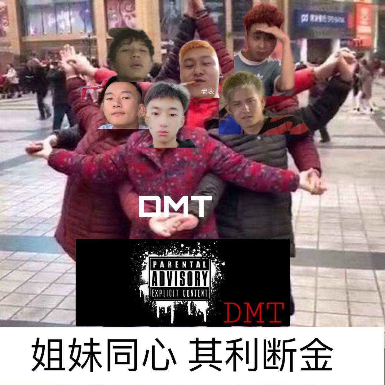 DMT专辑