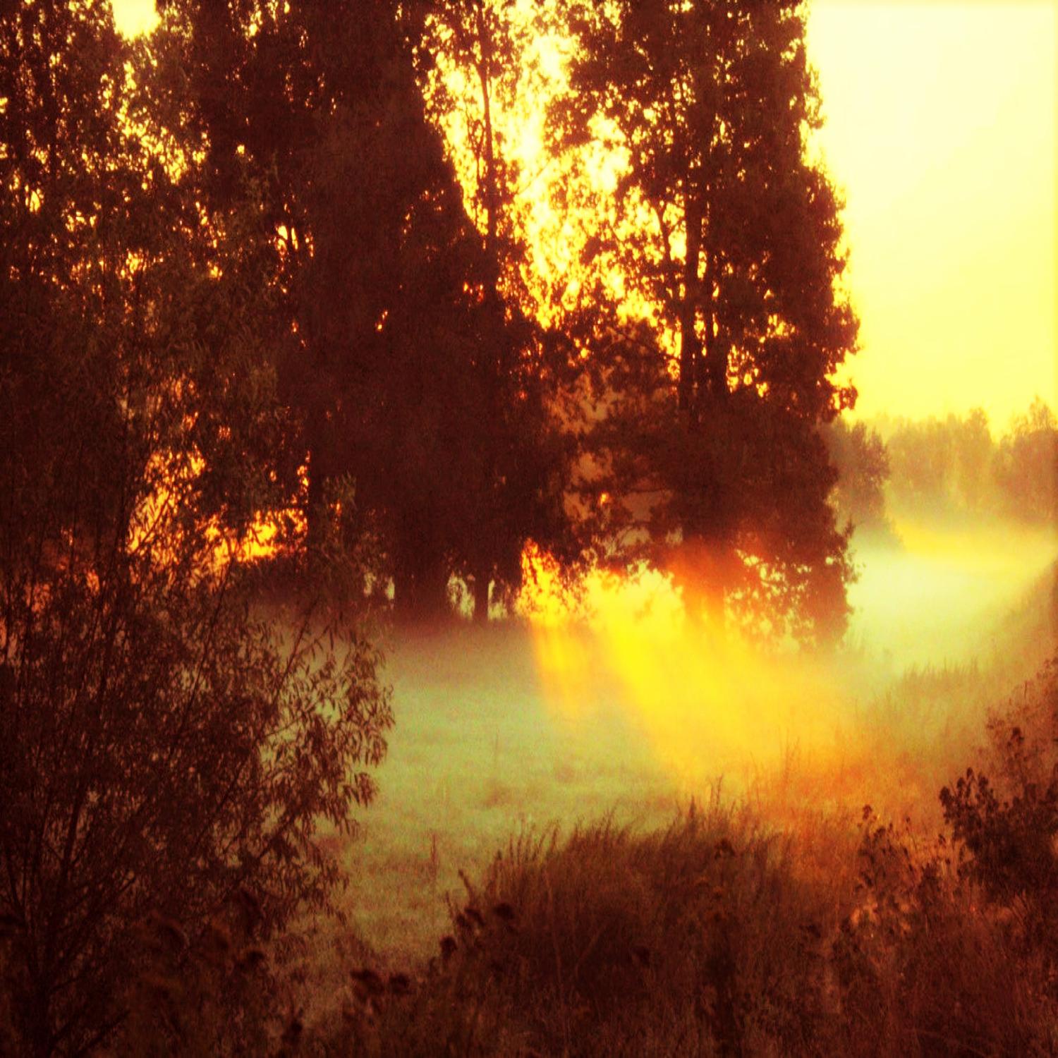 Sunrain