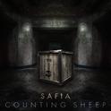 Counting Sheep专辑