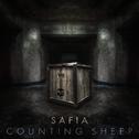 Counting Sheep专辑