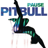 Pitbull - Pause (instrumental)