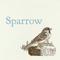 Sparrow专辑