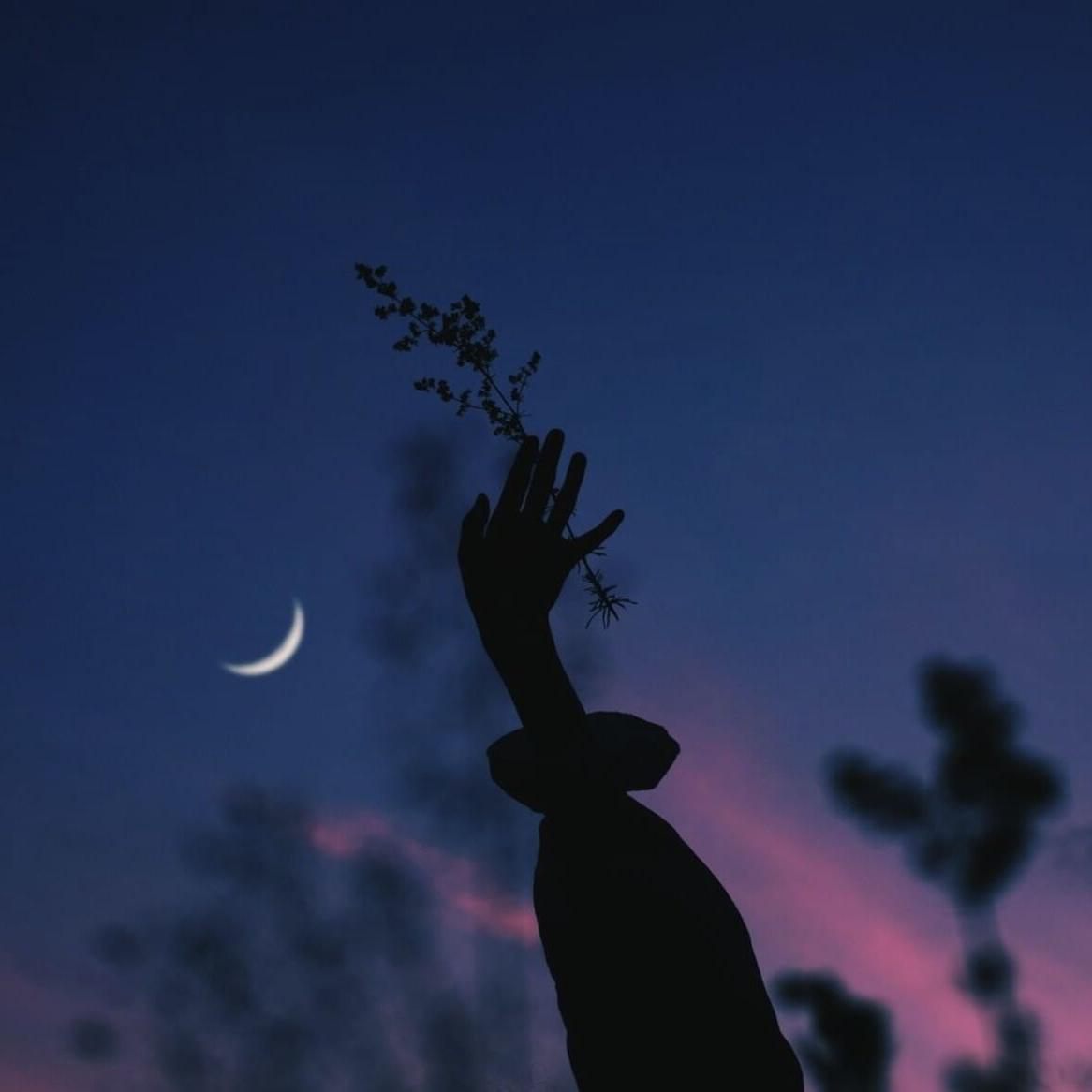 In The Night