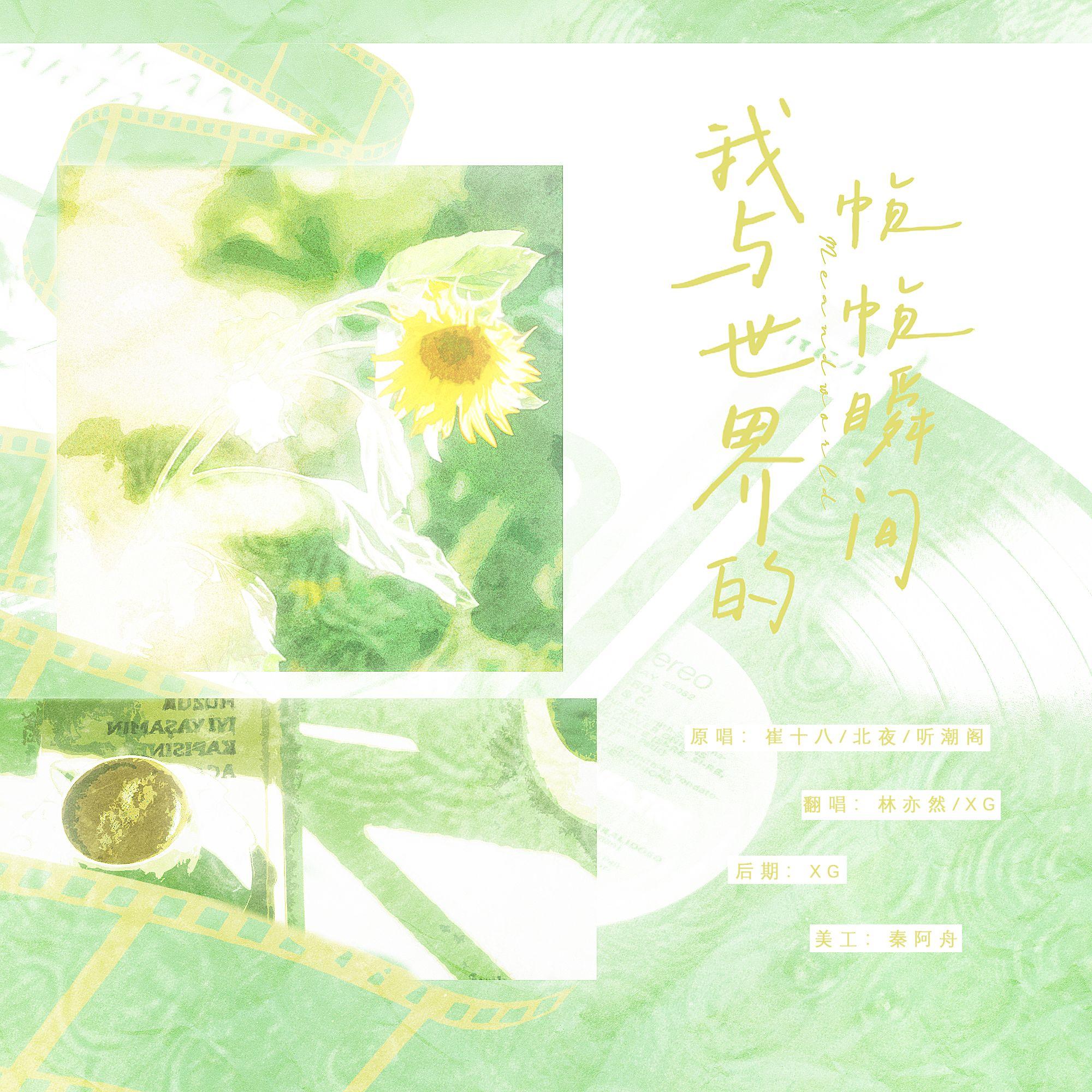 我与世界的帧帧瞬间