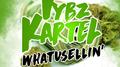 Massive B Presents: WHATUSELLIN'专辑